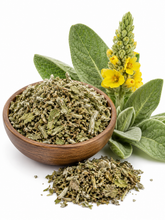 Mullein